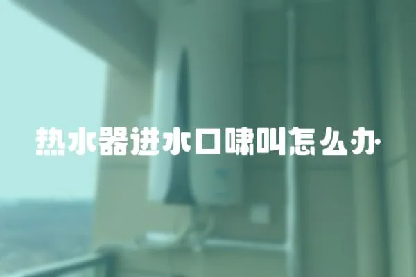 熱水器進水口嘯叫怎么辦