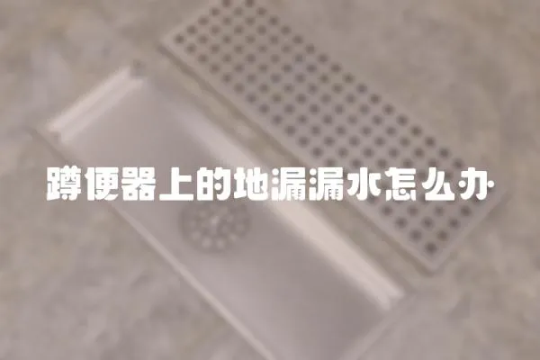 蹲便器上的地漏漏水怎么辦