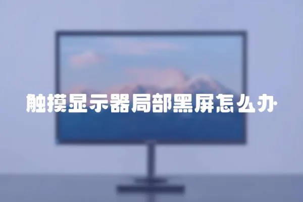 触摸显示器局部黑屏怎么办