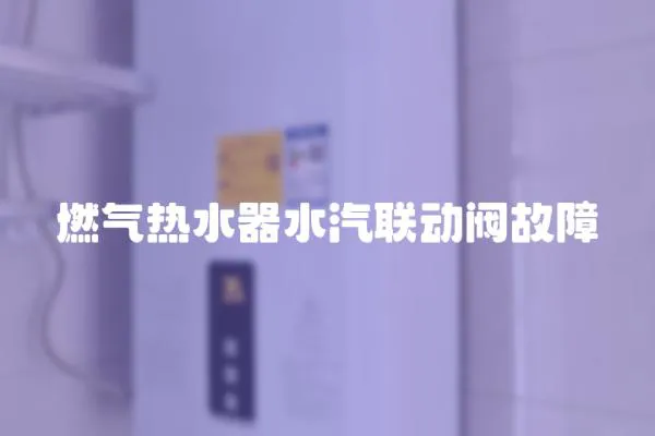 燃氣熱水器水汽聯動閥故障
