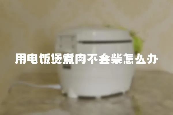 用電飯煲煮肉不會柴怎么辦