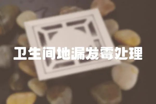衛生間地漏發霉處理