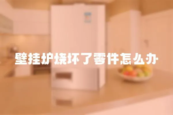 壁掛爐燒壞了零件怎么辦