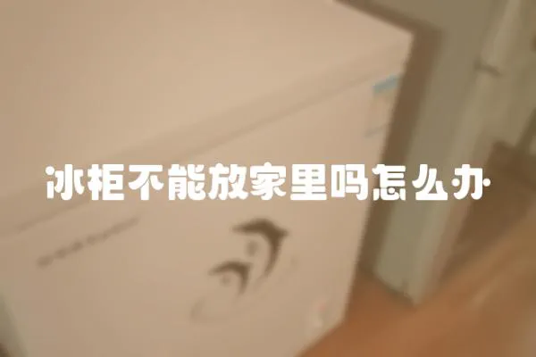 冰柜不能放家里嗎怎么辦