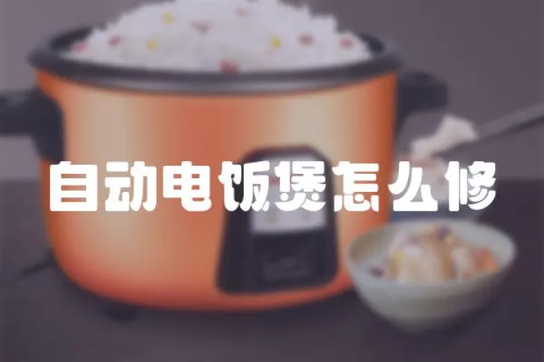 自動電飯煲怎么修