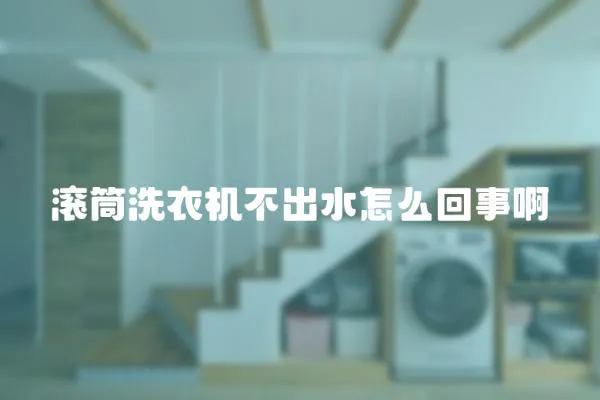 滾筒洗衣機不出水怎么回事啊