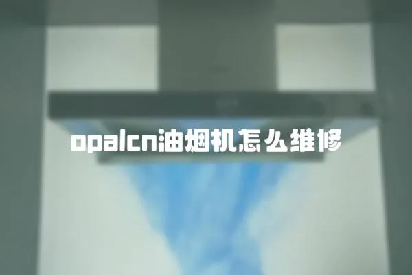 opalcn油煙機怎么維修
