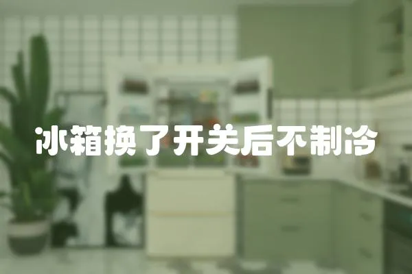 冰箱換了開關后不制冷
