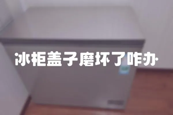 冰柜蓋子磨壞了咋辦