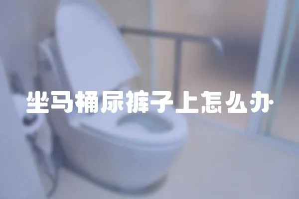 坐馬桶尿褲子上怎么辦
