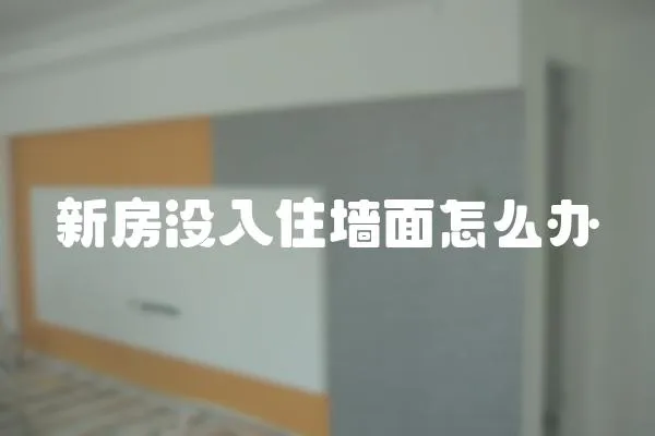 新房沒入住墻面怎么辦