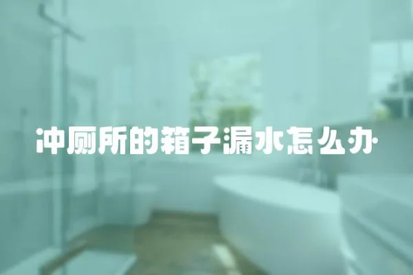 沖廁所的箱子漏水怎么辦