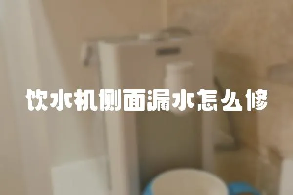 飲水機側面漏水怎么修