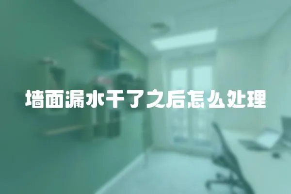 墻面漏水干了之后怎么處理