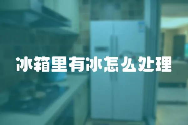 冰箱里有冰怎么處理