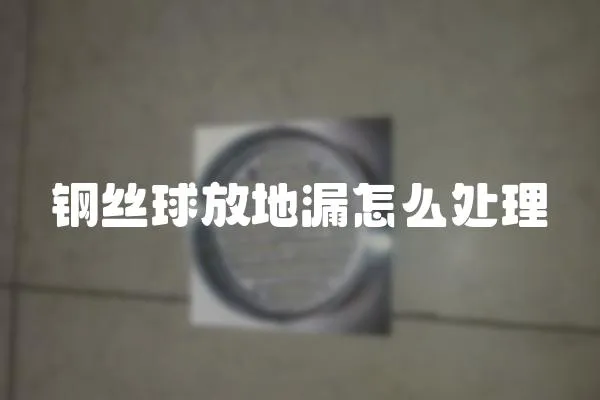 鋼絲球放地漏怎么處理