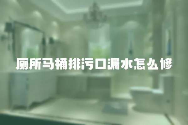 廁所馬桶排污口漏水怎么修