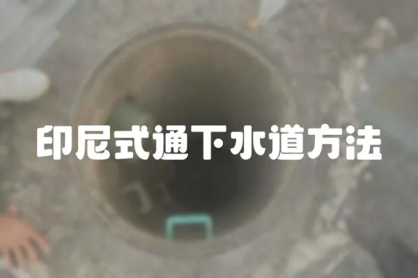 印尼式通下水道方法