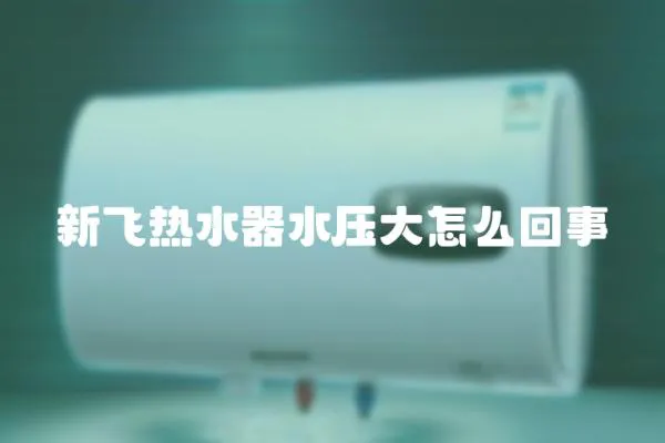 新飛熱水器水壓大怎么回事