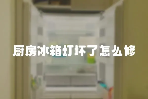 廚房冰箱燈壞了怎么修
