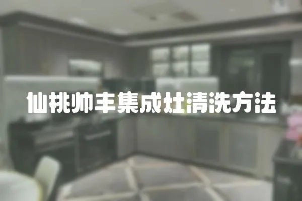 仙桃帥豐集成灶清洗方法