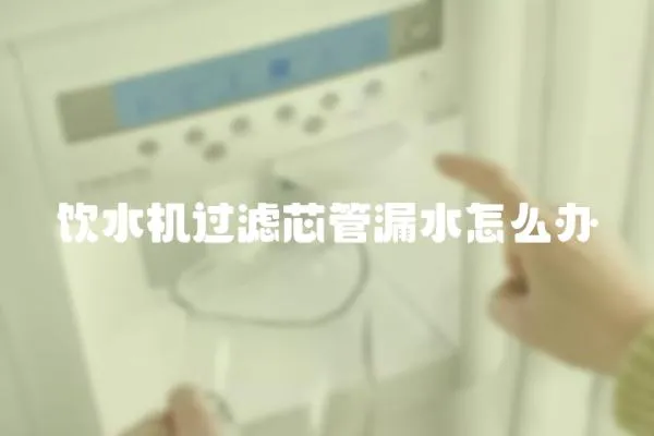 飲水機過濾芯管漏水怎么辦