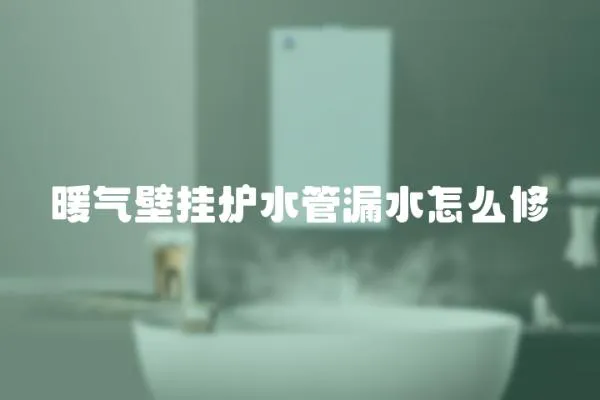 暖氣壁掛爐水管漏水怎么修