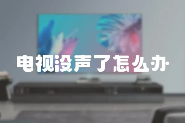 電視沒聲了怎么辦
