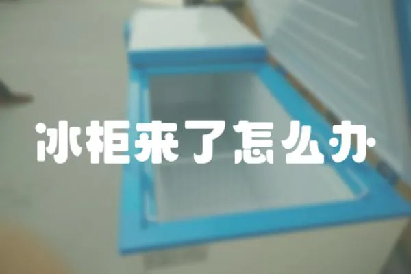 冰柜來(lái)了怎么辦