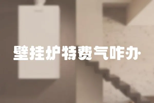 壁掛爐特費氣咋辦