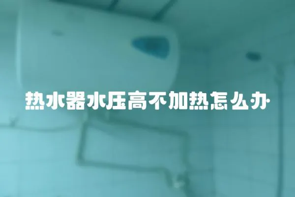熱水器水壓高不加熱怎么辦