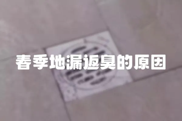 春季地漏返臭的原因