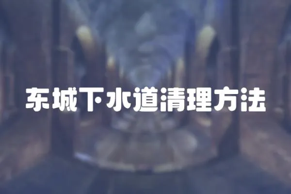 東城下水道清理方法