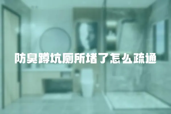 防臭蹲坑廁所堵了怎么疏通