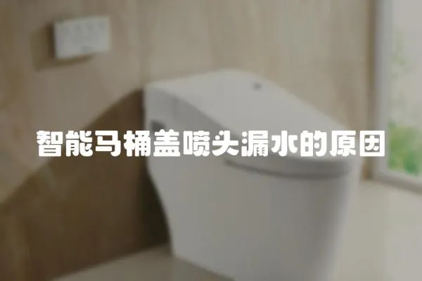 智能馬桶蓋噴頭漏水的原因