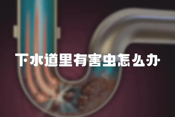 下水道里有害蟲怎么辦