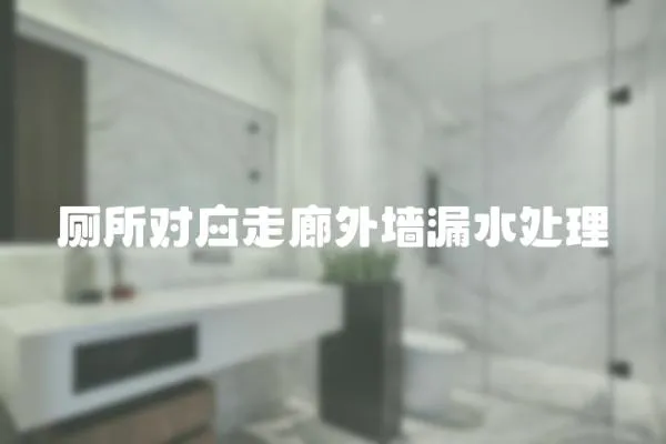 廁所對應走廊外墻漏水處理
