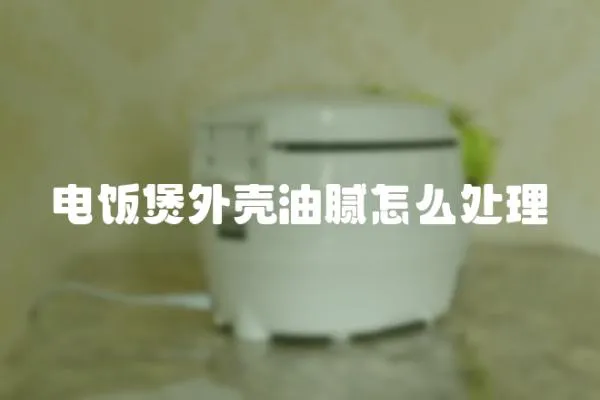 電飯煲外殼油膩怎么處理