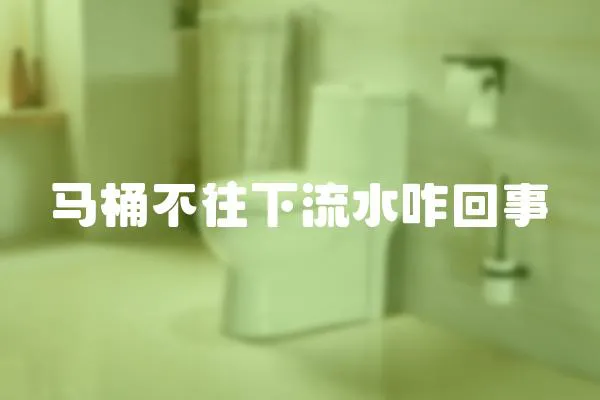 馬桶不往下流水咋回事