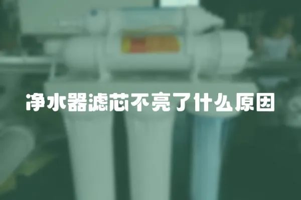 凈水器濾芯不亮了什么原因