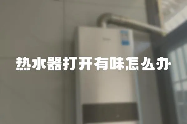 熱水器打開有味怎么辦