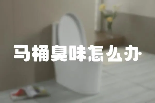 馬桶臭味怎么辦