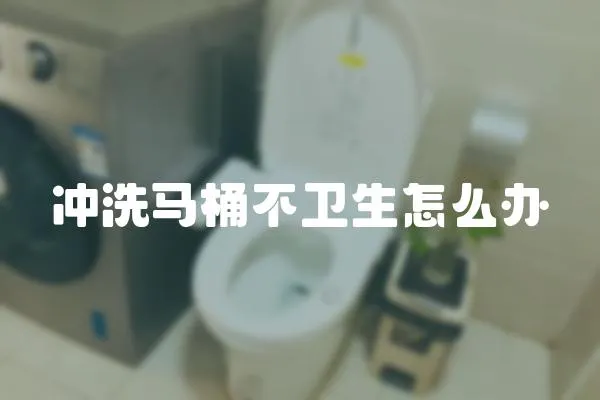 沖洗馬桶不衛生怎么辦
