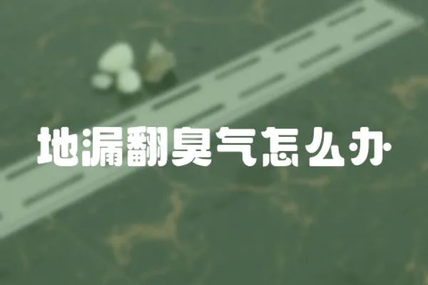 地漏翻臭氣怎么辦