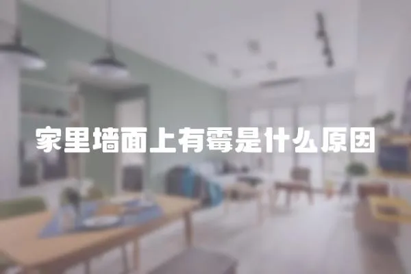 家里墻面上有霉是什么原因