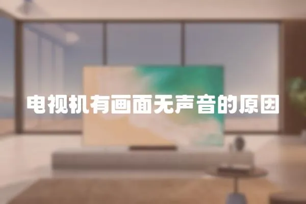 電視機(jī)有畫面無聲音的原因