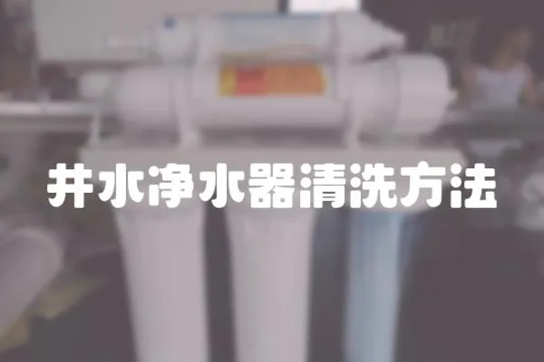 井水凈水器清洗方法