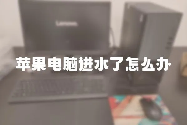 蘋果電腦進水了怎么辦