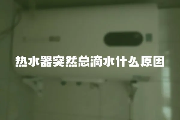 熱水器突然總滴水什么原因