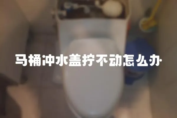 馬桶沖水蓋擰不動(dòng)怎么辦